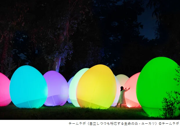 長居植物園 チームラボ ボタニカルガーデン 大阪