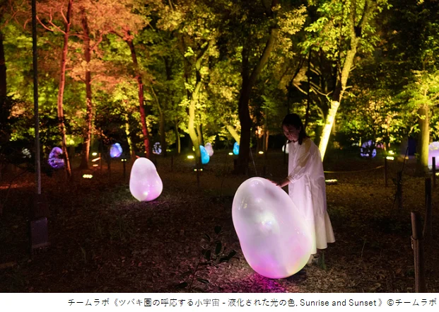 長居植物園 チームラボ ボタニカルガーデン 大阪