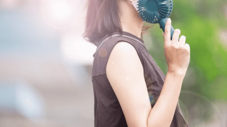 ハンディファン