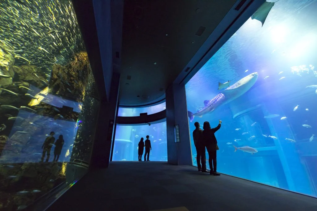 海遊館