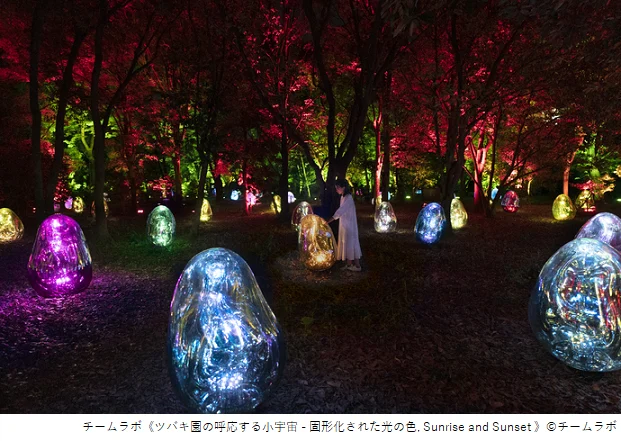 長居植物園 チームラボ ボタニカルガーデン 大阪
